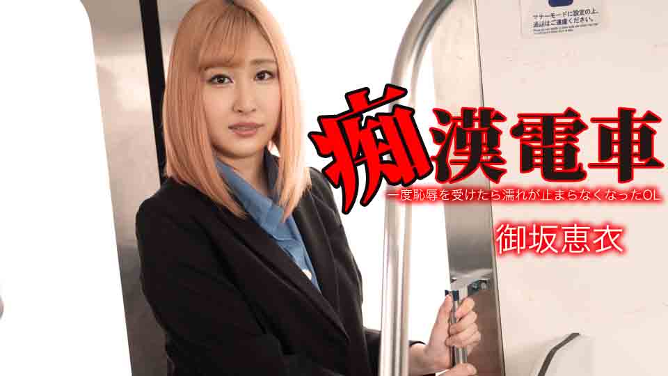 痴0電車 ~一度恥辱を受けたら濡れが止まらなくなったOL~