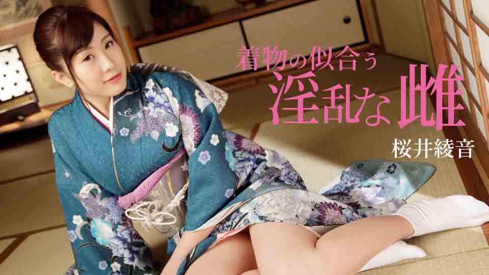 着物の似合う淫乱な雌